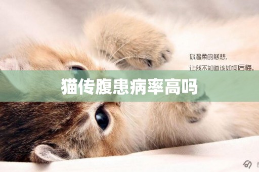 貓傳腹患病率高嗎