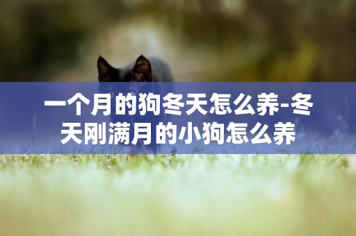 一個月的狗冬天怎么養-冬天剛滿月的小狗怎么養