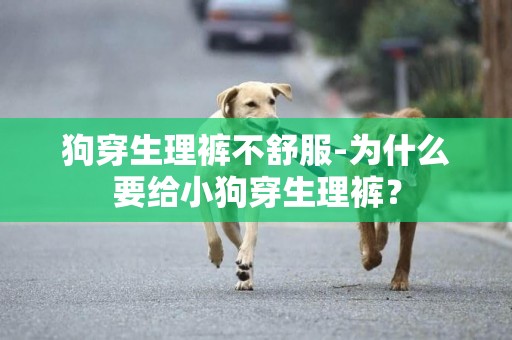 狗穿生理褲不舒服-為什么要給小狗穿生理褲？