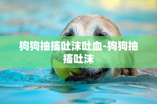 狗狗抽搐吐沫吐血-狗狗抽搐吐沫