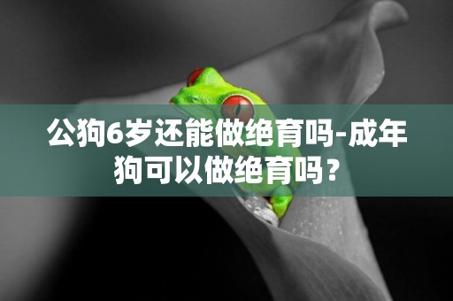 公狗6歲還能做絕育嗎-成年狗可以做絕育嗎？