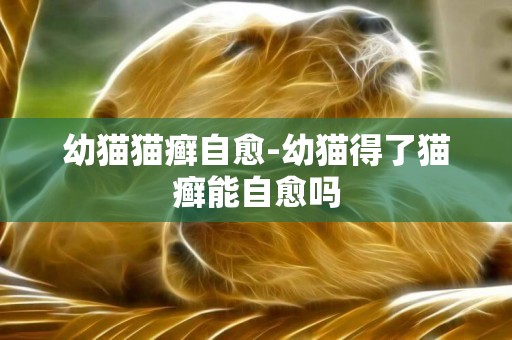 幼貓貓癬自愈-幼貓得了貓癬能自愈嗎