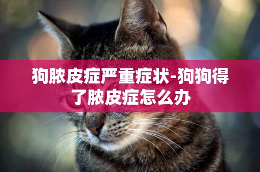 狗膿皮癥嚴重癥狀-狗狗得了膿皮癥怎么辦