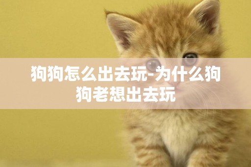 狗狗怎么出去玩-為什么狗狗老想出去玩