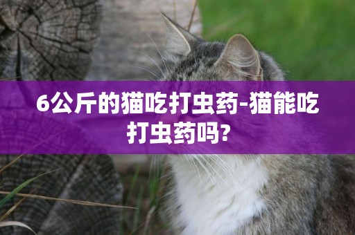 6公斤的貓吃打蟲藥-貓能吃打蟲藥嗎?