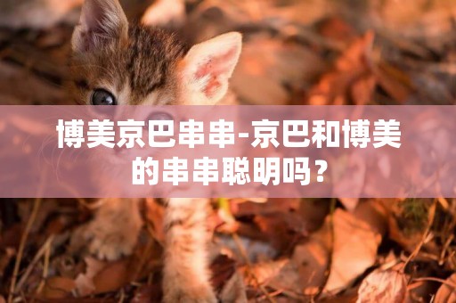 博美京巴串串-京巴和博美的串串聰明嗎？