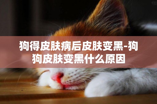 狗得皮膚病后皮膚變黑-狗狗皮膚變黑什么原因