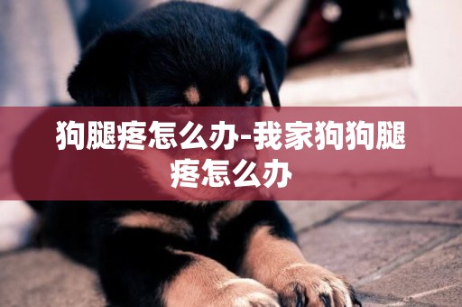 狗腿疼怎么辦-我家狗狗腿疼怎么辦