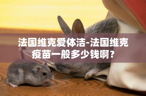 法國維克愛體潔-法國維克疫苗一般多少錢啊？