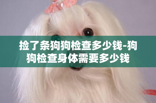 撿了條狗狗檢查多少錢-狗狗檢查身體需要多少錢