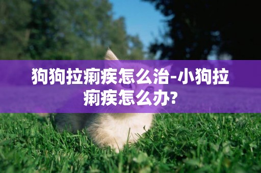 狗狗拉痢疾怎么治-小狗拉痢疾怎么辦?