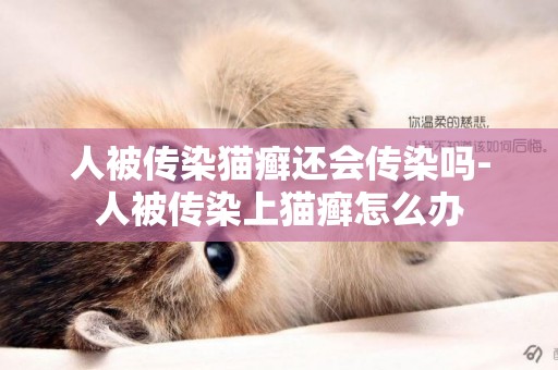 人被傳染貓癬還會傳染嗎-人被傳染上貓癬怎么辦