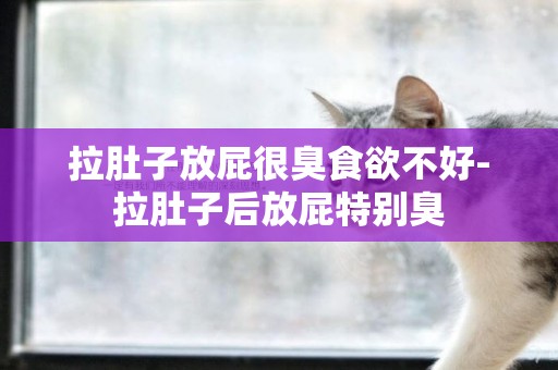 拉肚子放屁很臭食欲不好-拉肚子后放屁特別臭