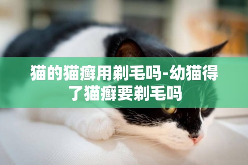 貓的貓癬用剃毛嗎-幼貓得了貓癬要剃毛嗎