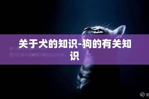 關于犬的知識-狗的有關知識