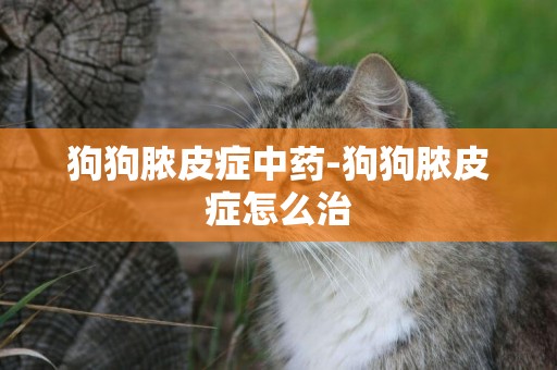 狗狗膿皮癥中藥-狗狗膿皮癥怎么治