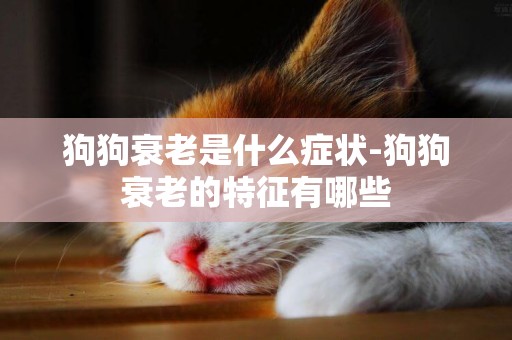 狗狗衰老是什么癥狀-狗狗衰老的特征有哪些