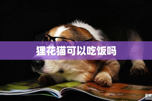 貍花貓可以吃飯嗎
