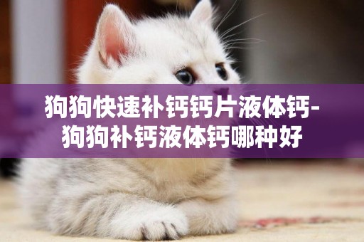 狗狗快速補鈣鈣片液體鈣-狗狗補鈣液體鈣哪種好