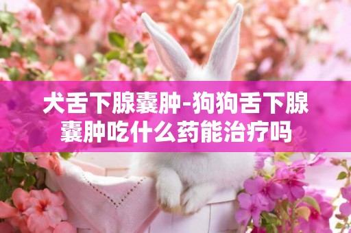 犬舌下腺囊腫-狗狗舌下腺囊腫吃什么藥能治療嗎
