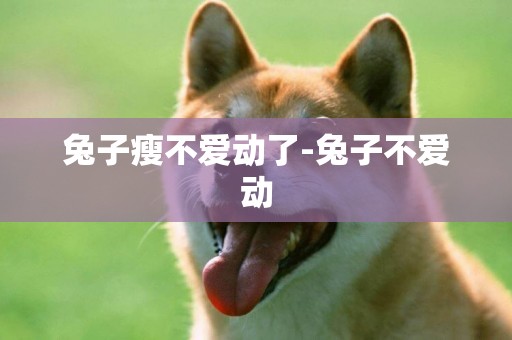 兔子瘦不愛動了-兔子不愛動