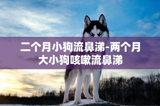 二個月小狗流鼻涕-兩個月大小狗咳嗽流鼻涕