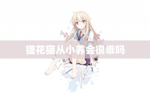 貍花貓從小養會很乖嗎