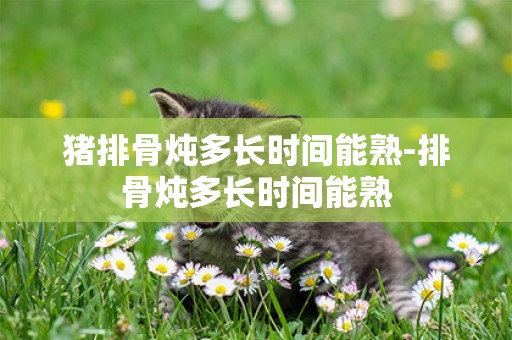豬排骨燉多長時間能熟-排骨燉多長時間能熟