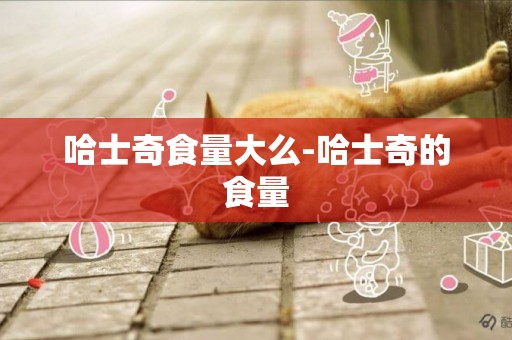 哈士奇食量大么-哈士奇的食量