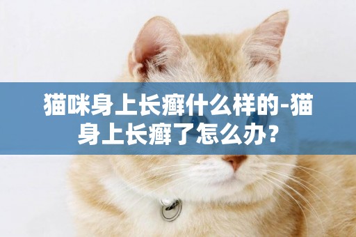 貓咪身上長癬什么樣的-貓身上長癬了怎么辦？