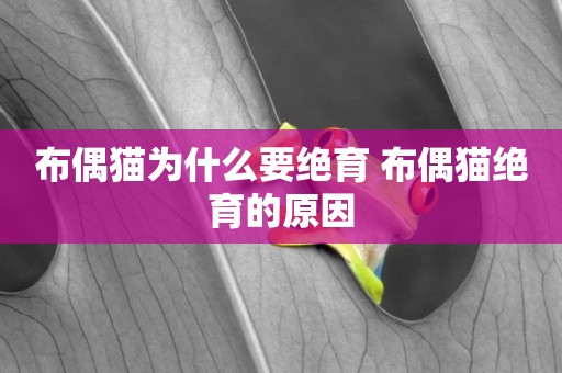 布偶貓為什么要絕育 布偶貓絕育的原因