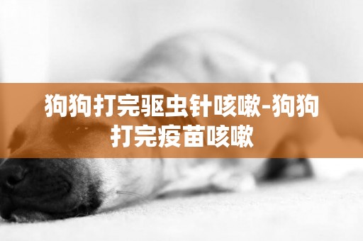 狗狗打完驅蟲針咳嗽-狗狗打完疫苗咳嗽