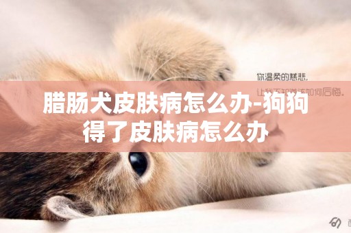 臘腸犬皮膚病怎么辦-狗狗得了皮膚病怎么辦