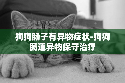 狗狗腸子有異物癥狀-狗狗腸道異物保守治療