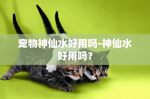 寵物神仙水好用嗎-神仙水好用嗎？
