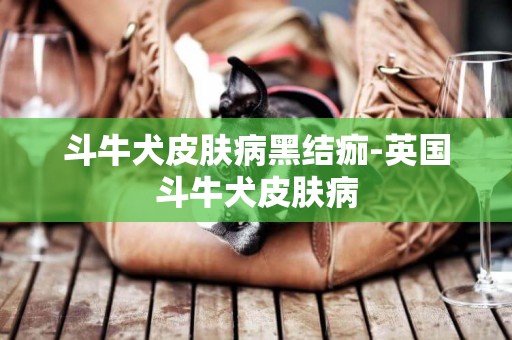 斗牛犬皮膚病黑結痂-英國斗牛犬皮膚病