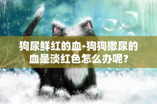 狗尿鮮紅的血-狗狗撒尿的血是淡紅色怎么辦呢？