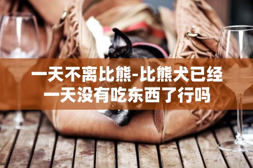 一天不離比熊-比熊犬已經一天沒有吃東西了行嗎