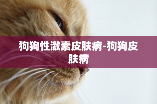 狗狗性激素皮膚病-狗狗皮膚病