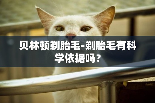貝林頓剃胎毛-剃胎毛有科學依據嗎？