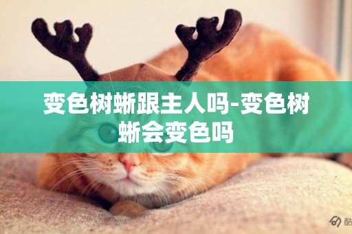 變色樹蜥跟主人嗎-變色樹蜥會變色嗎