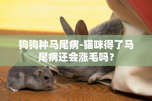 狗狗種馬尾病-貓咪得了馬尾病還會漲毛嗎？