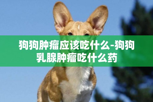 狗狗腫瘤應該吃什么-狗狗乳腺腫瘤吃什么藥