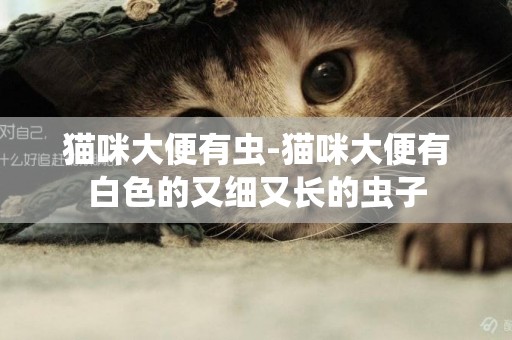 貓咪大便有蟲-貓咪大便有白色的又細又長的蟲子