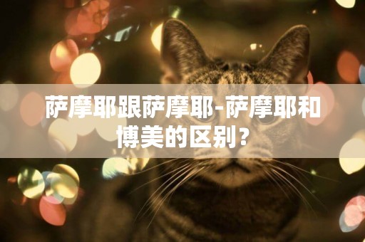 薩摩耶跟薩摩耶-薩摩耶和博美的區別？