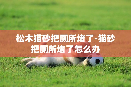 松木貓砂把廁所堵了-貓砂把廁所堵了怎么辦