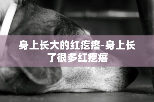 身上長大的紅疙瘩-身上長了很多紅疙瘩