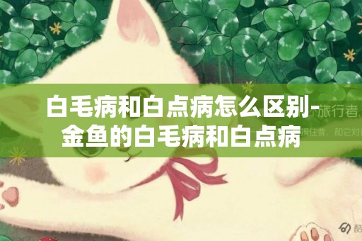 白毛病和白點病怎么區別-金魚的白毛病和白點病