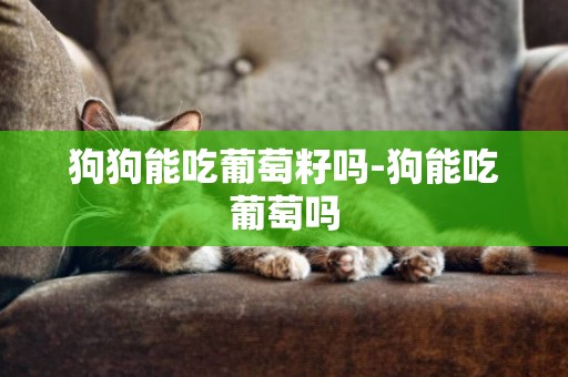 狗狗能吃葡萄籽嗎-狗能吃葡萄嗎