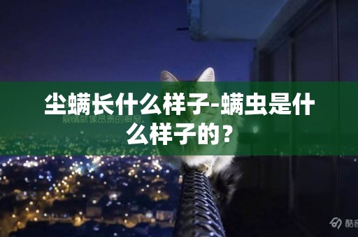 塵螨長什么樣子-螨蟲是什么樣子的？